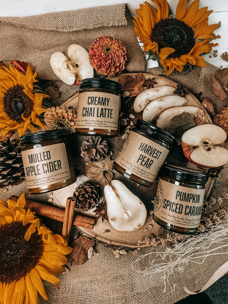 MULLED APPLE CIDER
