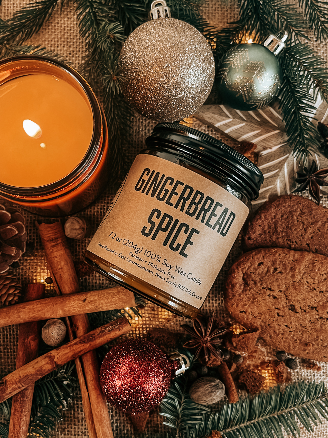 Gingerbread Spice Soy Candle | Holiday Warmth and Tradition